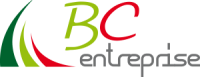 Logo BC SERVICES VIRE