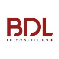Logo BDL AUDIT