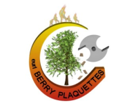 Logo BERRY PLAQUETTES 