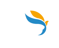 Logo BIRD Lyon