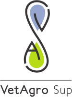 Logo CA DE BETHUNE-BRUAY, ARTOIS-LYS ROMANE
