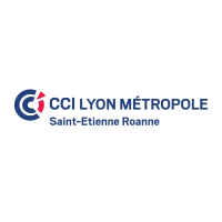 Logo CCI Lyon Métropole