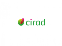Logo CIRAD