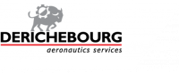 Logo Derichebourg Aeronautics Services
