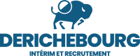 Logo Derichebourg Interim