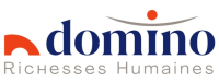 Logo Domino RH Missions Nancy