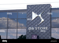 Logo DS STORE