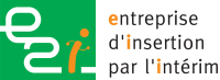 Logo E 2 I