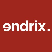 Logo Endrix