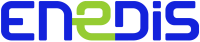 Logo ENEDIS SALENGRO