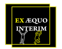 Logo Exæquo Intérim