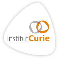 Logo Institut Curie