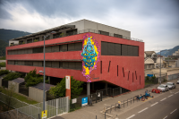 Logo IRFSS AURA - FI SITE DE GRENOBLE
