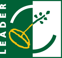 Logo LEADER ROANNE 2074