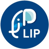 Logo LIP LYON PEINTURE PLATRERIE MENUISERIE