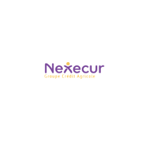 Logo Nexecur