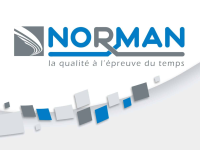 Logo Norman