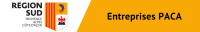 Logo Paca Hygiene Service