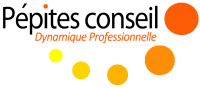 Logo PEPITE CONSEIL