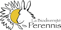 Logo Perennis