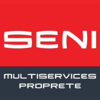 Logo Seni