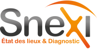 Logo Snexi