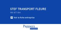 Logo STEF TRANSPORT FLEURE