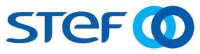 Logo STEF TRANSPORT ROUEN