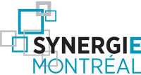 Logo Synergie Montélimar