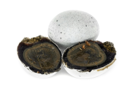 Logo Synergie Nantes Industrie