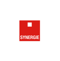 Logo Synergie Valenciennes