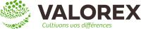Logo Valorex