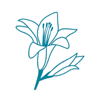 Logo VILLA SAINT DOMINIQUE